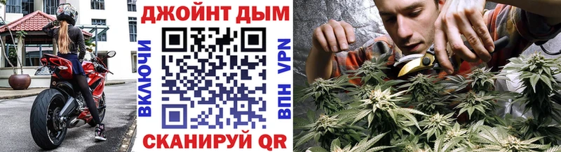 наркотики  Весьегонск  Конопля ГИДРОПОН 